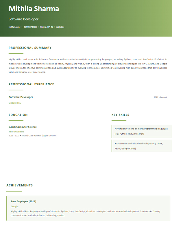 Business / Management Template